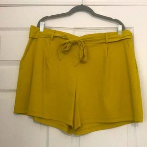 Loft plus dressy pull on shorts